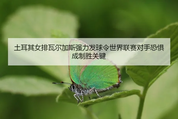 tu-er-qi-nv-pai-wa-er-jia-si-qiang-li-fa-qiu-ling-shi-jie-lian-sai-dui-shou-kong-ju-cheng-zhi-sheng-guan-jian-3-144.jpg