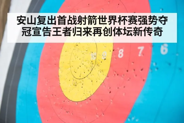 archery target close-up